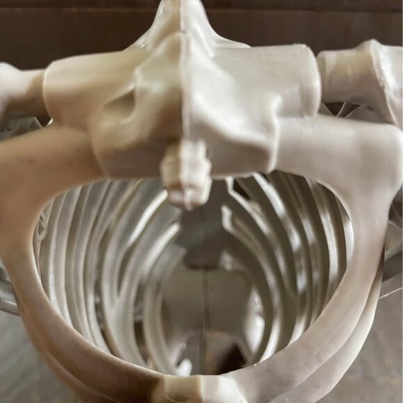 Skeleton Vulture Halloween Prop Scary Bird Raven Haunted Yard Outdoor Party Bone - Picture 7 of 8